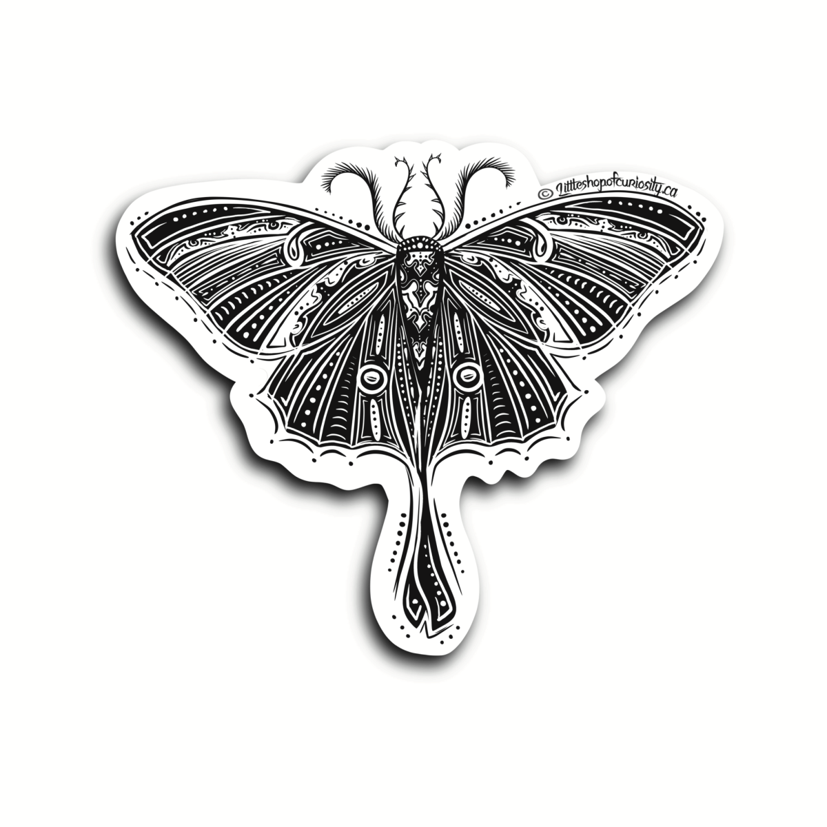 Luna Moth Sticker — Kat Weber Art