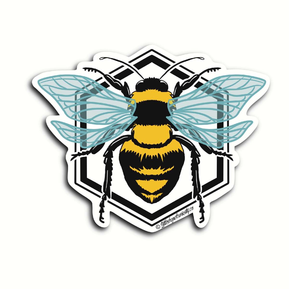 Bee Sticker - Colour Sticker - Little Shop of Curiosity