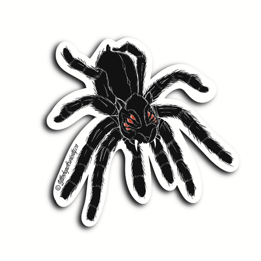 Horror Hamster Tarantula Sticker - Colour Sticker - Little Shop of Curiosity