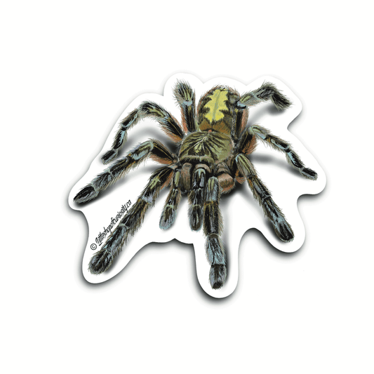 Red Slate Ornamental Tarantula Sticker - Colour Sticker - Little Shop of Curiosity