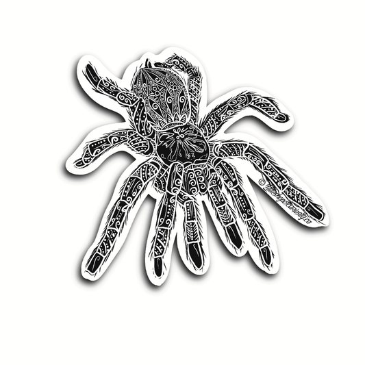 Reverse Mandala Tarantula Sticker - Black & White Sticker - Little Shop of Curiosity